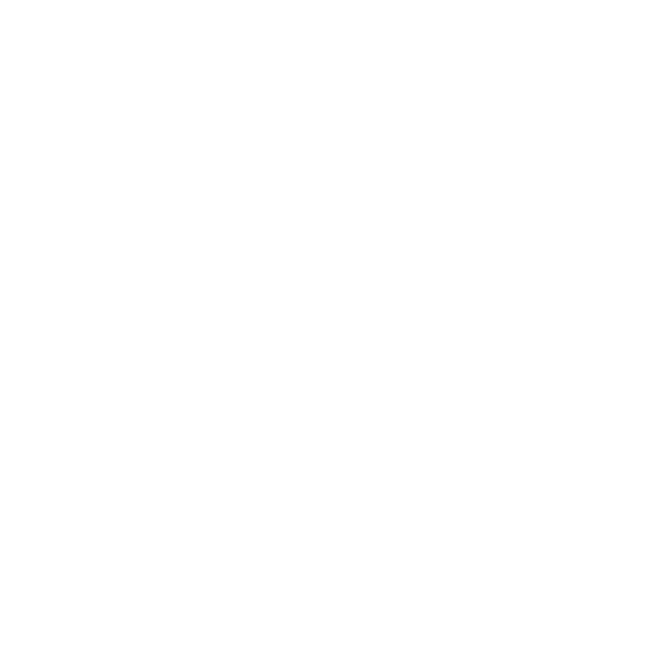 AMNE.WORLD STORE